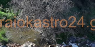 Ωραιόκαστρο: μετέτρεψαν ρέμα σε χωματερή Μετά μας φταίνε τα καιρικά φαινόμενα που πλημμυρίζουμε – Αυτοψία