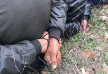 Συλλήψεις μεταναστών στον Έβρο on camera