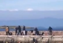 Άγρια επεισόδια στο λιμάνι της Μυτιλήνης: Ξυλοκόπησαν μέλη ΜΚΟ – Εμποδίζουν λέμβους με μετανάστες,βίντεο
