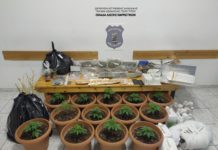 Βίντεο της στιγμής του εντοπισμού εργαστηρίου υδροπονικής καλλιέργειας κάνναβης σε περιοχή της Θεσσαλονίκης