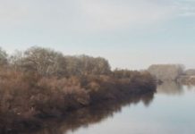 Θρίλερ με νεκρό άντρα στον Έβρο – Τι αναφέρει η ΕΛ.ΑΣ.