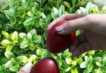 Αυτός είναι ο καιρός για σήμερα Κυριακή του Πάσχα