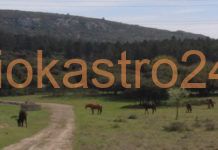 Η άγρια δύση στο βουνό του Ωραιοκάστρου,βίντεο