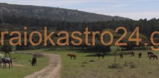 Η άγρια δύση στο βουνό του Ωραιοκάστρου,βίντεο