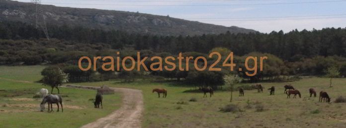 επικεφ