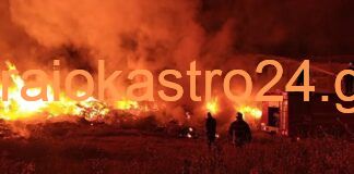 Δήλωση του Δημάρχου Κορδελιού – Ευόσμου για την μεγάλη φωτιά της Τρίτης
