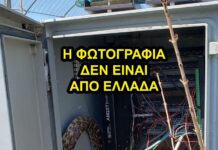 Φωτογραφία με αμερικάνικο είδος φιδιού παρουσιάζουν ότι είναι στην Ελλάδα