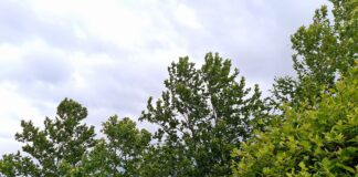 Ο καιρός σήμερα – Αναλυτική πρόγνωση για όλη τη χώρα