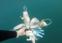 Μάσκες και γάντια στον βυθό της Μεσογείου: SOS για τη «ρύπανση κορωνοϊού» (φωτο+vid)