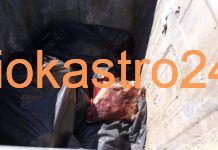 Ωραιόκαστρο: Μία ακόμη χωματερή υγειονομική βόμβα – Κεφάλια ζώων μέσα σε κάδο σκουπιδιών