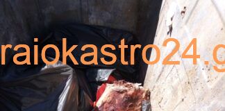 Ωραιόκαστρο: Μία ακόμη χωματερή υγειονομική βόμβα – Κεφάλια ζώων μέσα σε κάδο σκουπιδιών