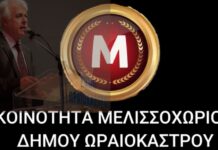 Γαβότσης: Η απαξίωση του Μελισσοχωρίου και η μεταμέλεια του κυρίου Μοσχόπουλου
