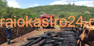 Ωραιόκαστρο: Φωτογραφίες απο την φωτιά στον ορεινό όγκο- Πληροφορίες για εμπρησμό