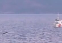 Η τουρκική ακτοφυλακή συνοδεύει βάρκα με μετανάστες σε ελληνικό νησί,βίντεο