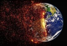 Καμπανάκι από ΟΗΕ, ΠΟΥ και WWF: Οι πανδημίες οφείλονται στην καταστροφή της φύσης