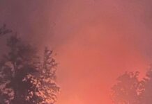 Φωτογραφίες και βίντεο απο την φωτιά στην ΒΙ.ΠΕ. Σίνδου