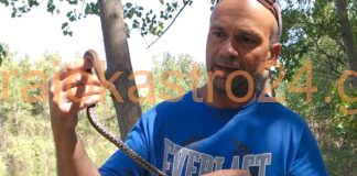 Το νερόφιδο της λίμνης του Ωραιοκάστρου Θεσσαλονίκης,βίντεο