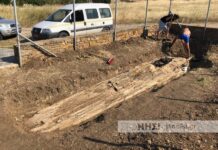 Ανακαλύφθηκε γιγαντιαίος απολιθωμένος κορμός οκτώ μέτρων στη Λήμνο