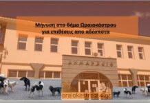 Μήνυση στο δήμο Ωραιοκάστρου για επιθέσεις απο αδέσποτα,βίντεο