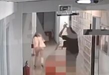 Κοζάνη: βίντεο από την επίθεση με τσεκούρι στην Εφορία (ΣΚΛΗΡΕΣ ΕΙΚΟΝΕΣ)