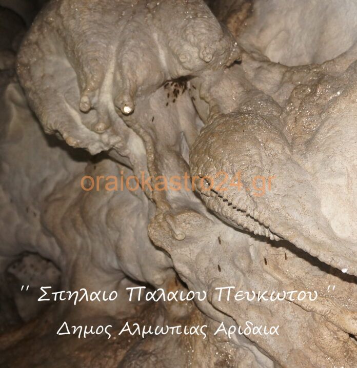 Επικεφαλιδα !!! Σπηλαιου Πευκωτου