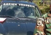 Λαθροϋλοτόμος πυροβόλησε δασικό υπάλληλο κατά τη διάρκεια ελέγχου