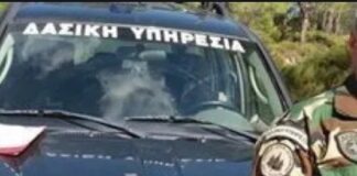 Λαθροϋλοτόμος πυροβόλησε δασικό υπάλληλο κατά τη διάρκεια ελέγχου