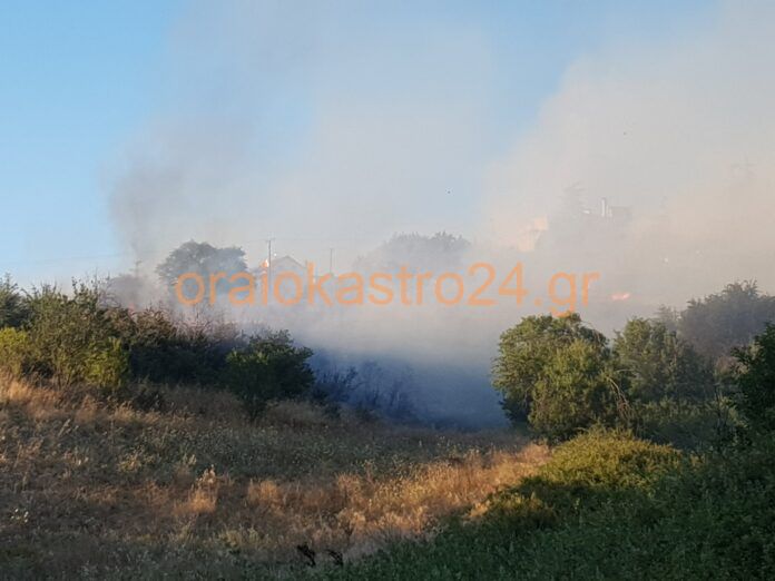 εικόνα_Viber_2020-07-20_20-05-36