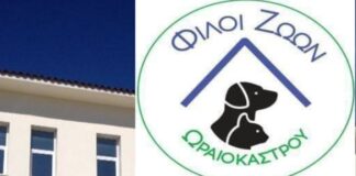 Ωραιόκαστρο: Σε απελπισία οι πολίτες με τα αδέσποτα – Η φιλοζωική καταγγέλλει τον δήμο