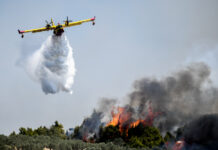 Νωρίτερα ξεκίνησαν και εφέτος οι δασικές πυρκαγιές