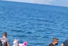 Ferry Boat έσωσε κοριτσάκι που παρασύρθηκε με το σωσίβιο του, βίντεο