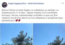 Ούτε 24 ώρες δεν κράτησε ο καθαρισμός στους δρόμους της Γαλήνης-Έκκληση της αντιδημάρχου