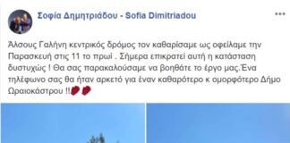Ούτε 24 ώρες δεν κράτησε ο καθαρισμός στους δρόμους της Γαλήνης-Έκκληση της αντιδημάρχου