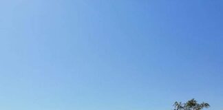 Καραμπόλα στον περιφερειακό τώρα,μεγάλο μποτιλιάρισμα
