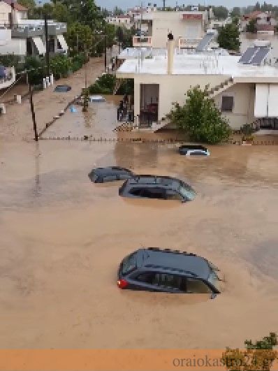 Σχόλιο 2020-08-09 183126