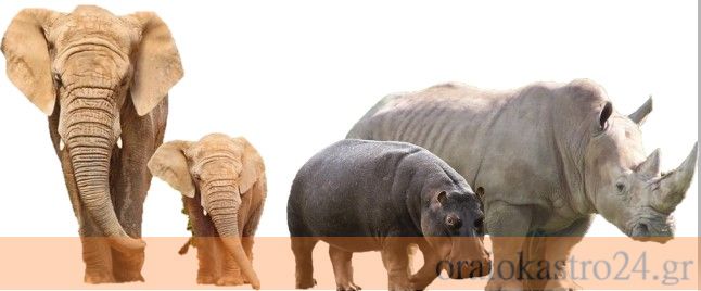 Σχόλιο 2020-08-10 124914
