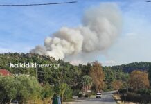 Μεγάλη Πυρκαγιά Στη Σιθωνία , βίντεο