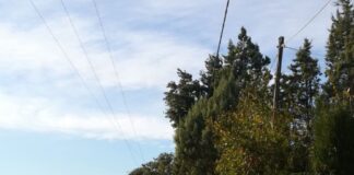 Νεκρός άνδρας στον Δρυμό Ωραιοκάστρου