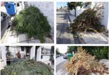 Ωραιόκαστρο: Ούτε στο φιλότιμο πιάνονται κάποιοι και συνεχίζουν να πετάνε τα κλαδιά τους όπου βρουν