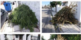Ωραιόκαστρο: Ούτε στο φιλότιμο πιάνονται κάποιοι και συνεχίζουν να πετάνε τα κλαδιά τους όπου βρουν