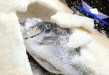 Ψάρι “χτισμένο” με αλάτι – Η πιο εύκολη, υγιεινή και γευστικότατη συνταγή