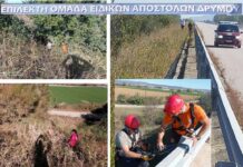 Άκαρπες οι έρευνες για τον εντοπισμό του ηλικιωμένου που εξαφανίστηκε απο το Δρυμό Ωραιοκάστρου