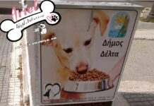 Αδέσποτα: 300 τρέχουν και 2 “γκρεμίζουν” στο δήμο Δέλτα