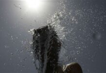 WWF: Αύξηση 2°C στην Ελλάδα σημαίνει αύξηση 478% για τους ακραίους καύσωνες