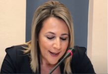 Φανή Μπλιούμη Η νέα πρόεδρος του Τμήματος Επαγγελματιών του ΕΕΘ