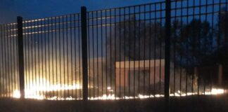 Φωτιά τώρα σε πάρκο της Νέας Μαγνησίας Θεσσαλονίκης, βίντεο