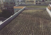 Σε σχολείο το μεγαλύτερο πράσινο δώμα της Θεσσαλονίκης με 16.000 φυτά