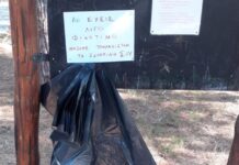 Φίλοι Δάσους: Έκτος τον φονικό ιό έχουμε και την επιδρομή των…ανθρώπων