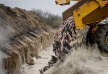 Θανατώνονται 17 εκατ. βιζόν στη Δανία, ακολουθεί η Ολλανδία – Σκληρές εικόνες