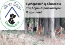 Φίλοι ζώων Ωραιοκάστρου: Εγκληματική η αδιαφορία του δήμου Ωραιοκάστρου! Φτάνει πια!